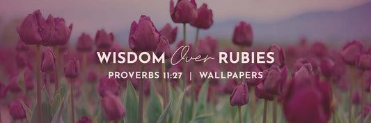 Proverbs 11:27 | Diligently Seek Good Wallpapers - Grounded in Truth Company