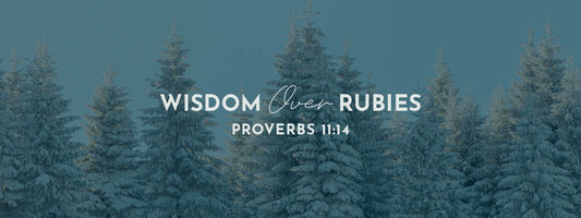 Proverbs 11:14 | The Multitude of Counsellors - Grounded in Truth Company
