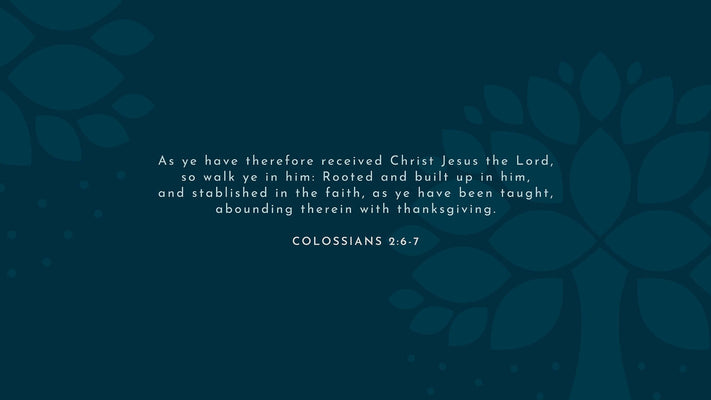 Why Do We Study the Bible?