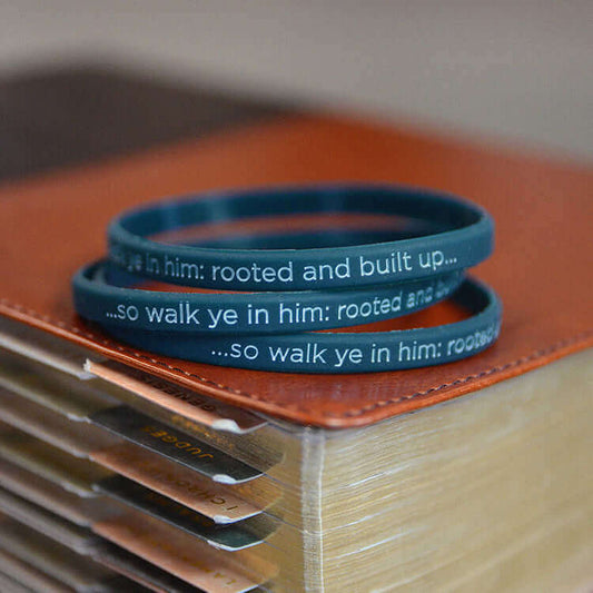 Bracelets - Colossians 2 Bracelet - Grounded in Truth Company