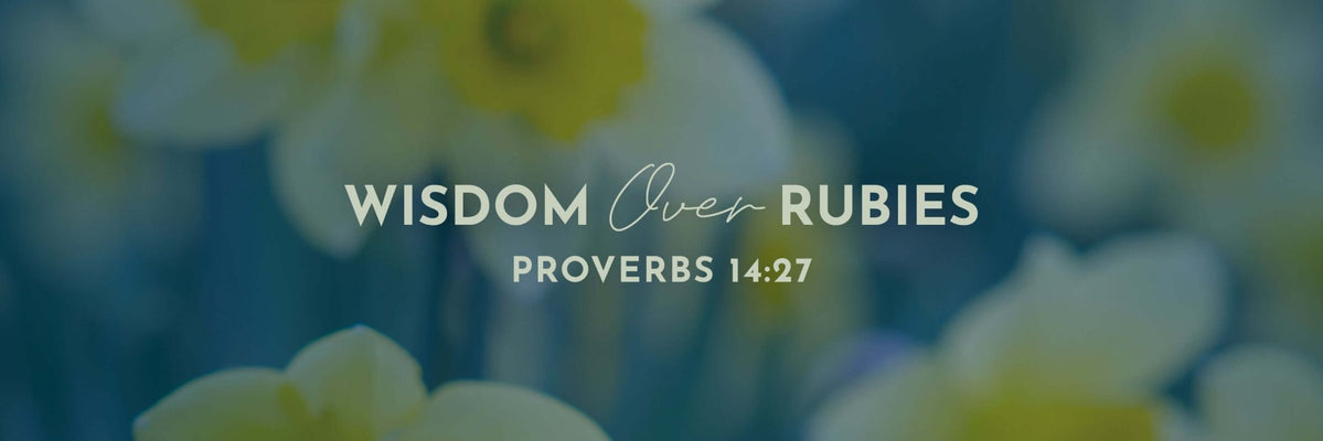 Proverbs 14:27 | A Fountain of Life