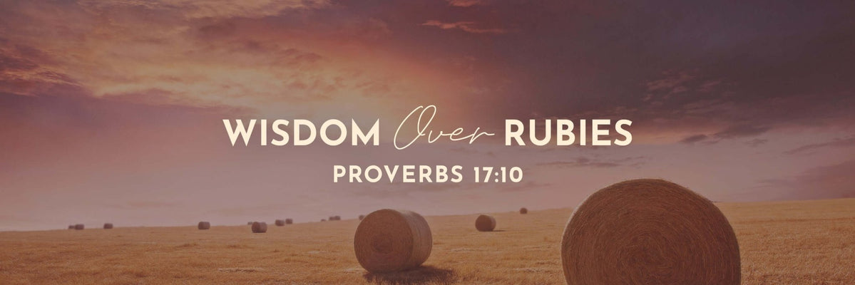 Proverbs 17:10 | A Reproof