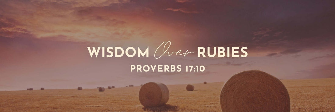 Proverbs 17:10 | A Reproof - Grounded in Truth Company