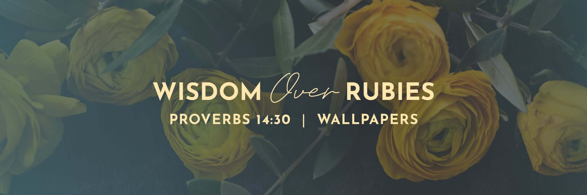 Proverbs 14 30 Bible Verse Wallpapers Proverbs 14 30 bible verse wallpapers