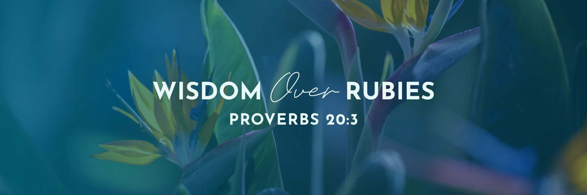 Proverbs 20:3 | Cease from Strife