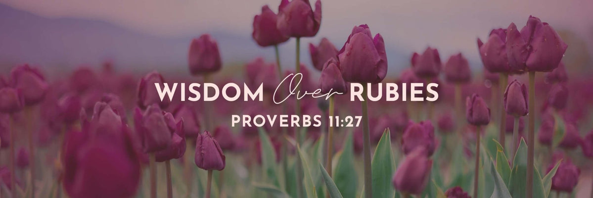 Proverbs 11:27 | Diligently Seek Good