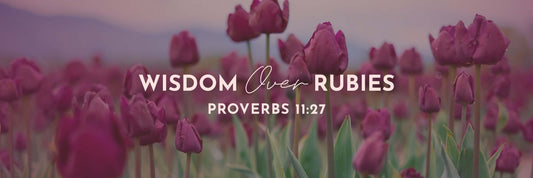 Proverbs 11:27 | Diligently Seek Good - Grounded in Truth Company