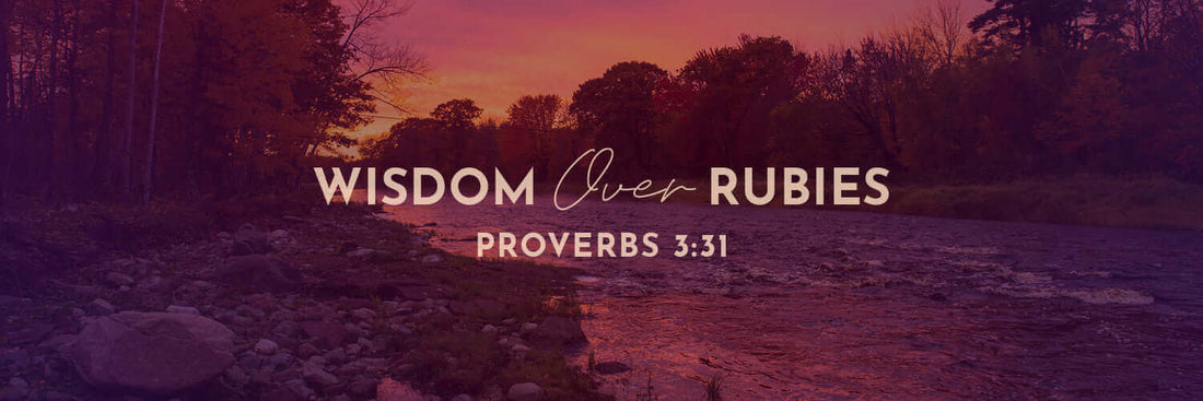 Proverbs 3:31 | None of His Ways - Grounded in Truth Company