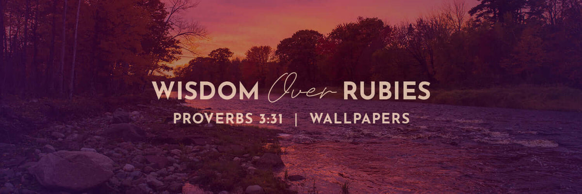 Proverbs 3:31 | None of His Ways Wallpapers