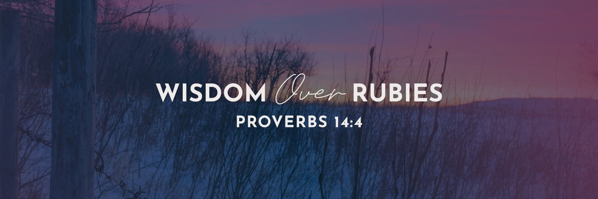 Proverbs 14:4 | The Crib is Clean