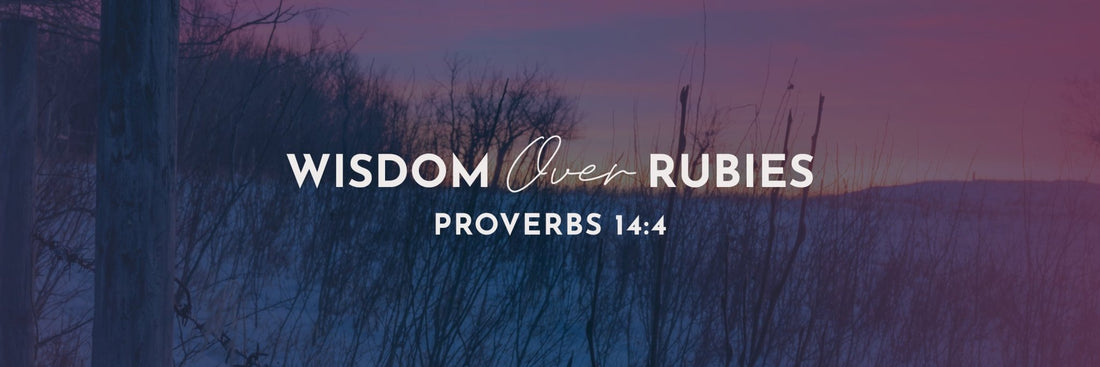 Proverbs 14:4 | The Crib is Clean - Grounded in Truth Company