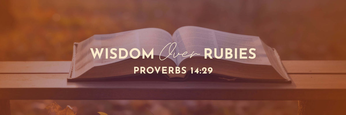 Proverbs 14:29 | Slow to Wrath or Hasty to Spirit