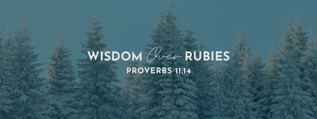 Proverbs 11:14 | The Multitude of Counsellors
