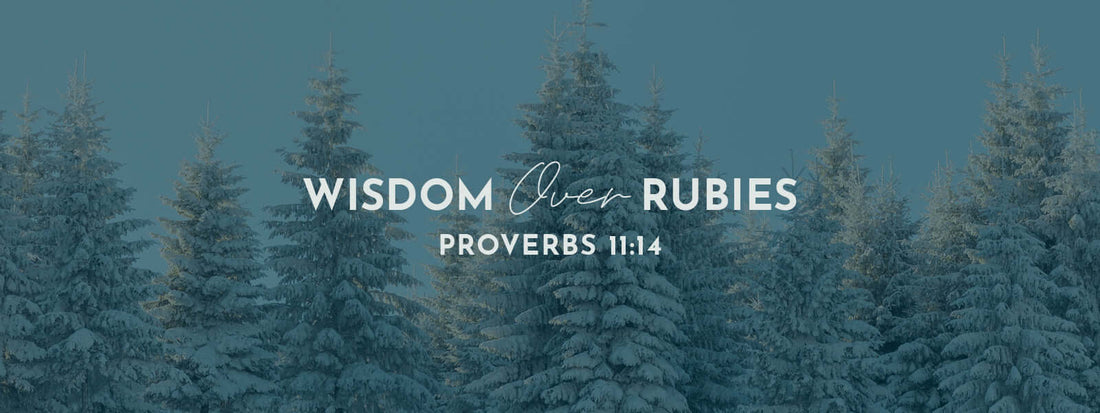 Proverbs 11:14 | The Multitude of Counsellors - Grounded in Truth Company