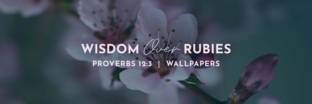 Proverbs 12:3 | The Root of the Righteous Wallpapers