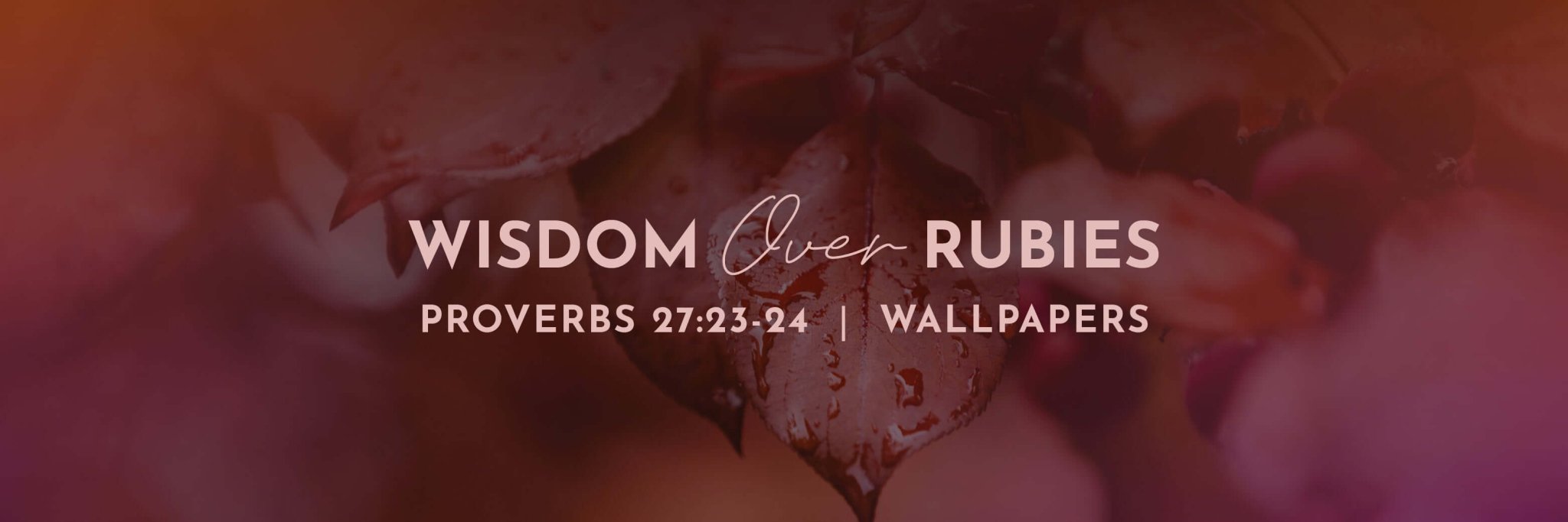 Proverbs 27 23 24 Bible Verse Wallpapers proverbs-27-23-24-bible-verse-wallpapers
