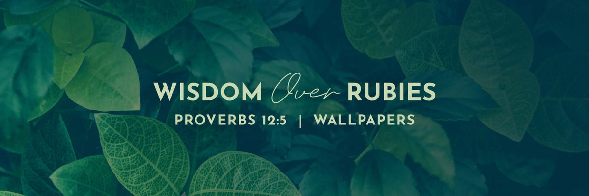 Proverbs 12:5 | The Thoughts of the Righteous Wallpapers