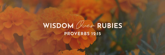 Proverbs 12:15 | The Way of a Fool - Grounded in Truth Company