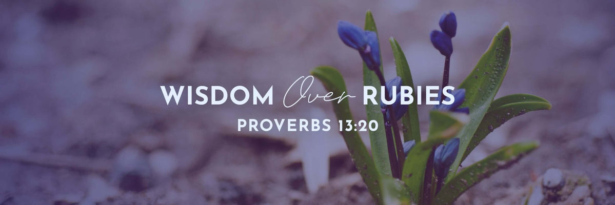 Proverbs 13:20 | Walketh with Wise Men