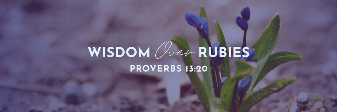 Proverbs 13:20 | Walketh with Wise Men - Grounded in Truth Company